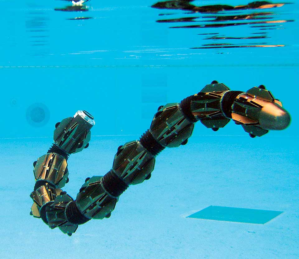 Snake Robot for Underwater Surveillance and Monitoring